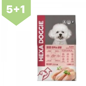헥사도기) 퍼피 4.8kg [5+1 행사]
